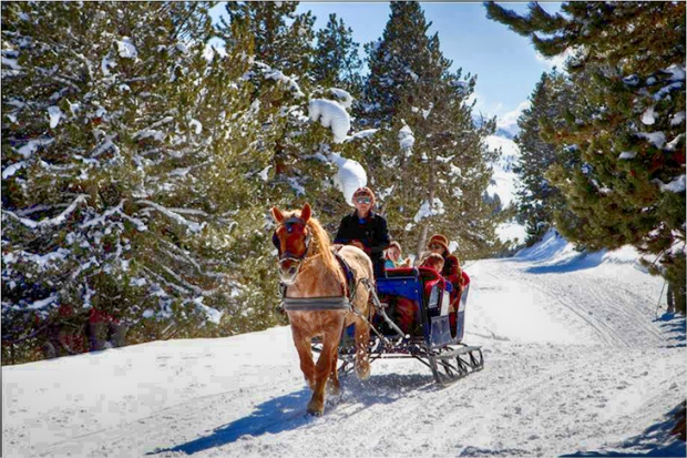  Descubrir la Val d’Aran con excursiones en trineos tirados por perros y caballos