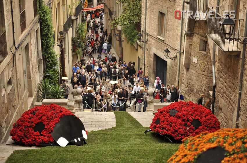  Girona se prepara ya para la  59ª edición de temps de flors