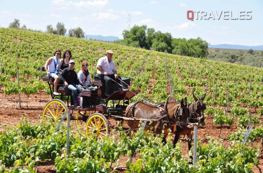  Vuelve la Primavera Enogastronómica de la Ruta del Vino Ribera del Guadiana