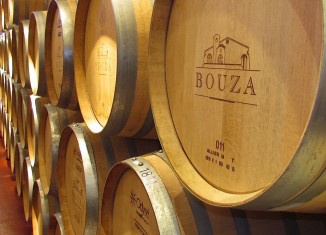 Uruguay también está de moda en el mundo vinícola