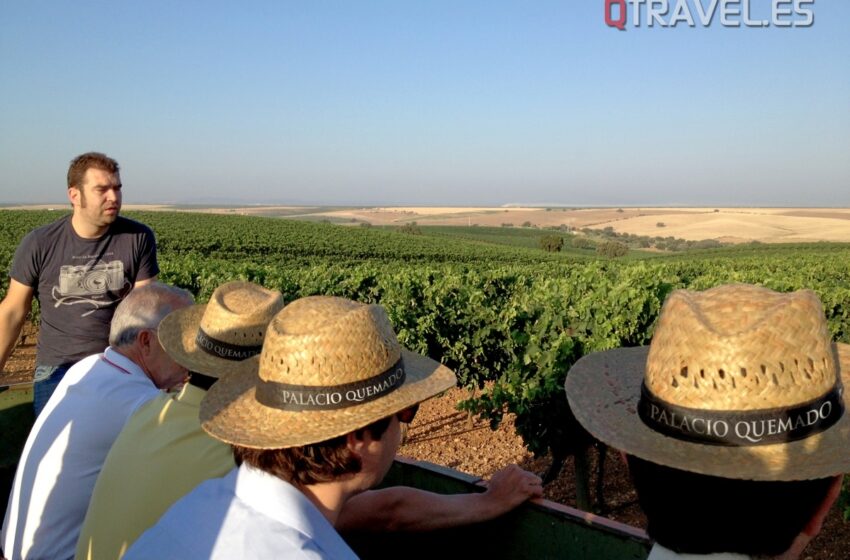  Vino y salud se dan la mano en la  ruta del vino Ribera del Guadiana