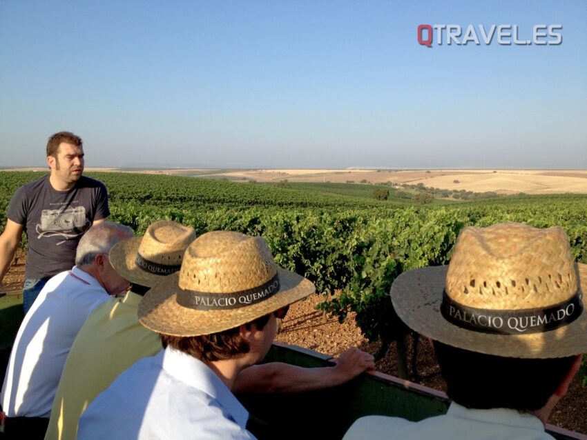 Vino y salud se dan la mano en la ruta del vino Ribera del Guadiana