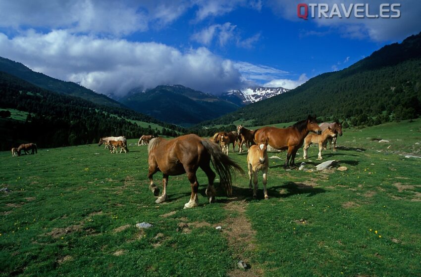  Ven a descubrir el turismo familiar en primavera en Val d’Aran