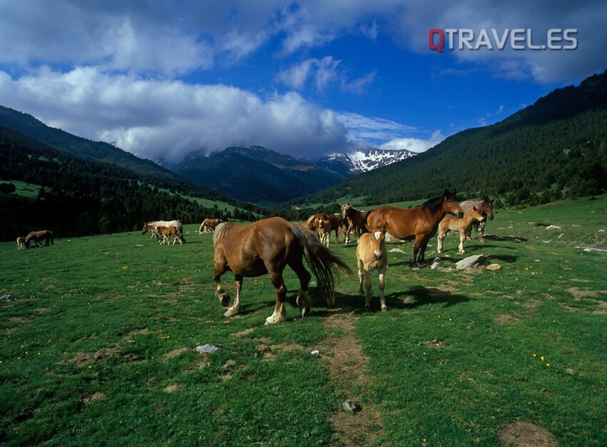 Ven a descubrir el turismo familiar en primavera en Val d’Aran