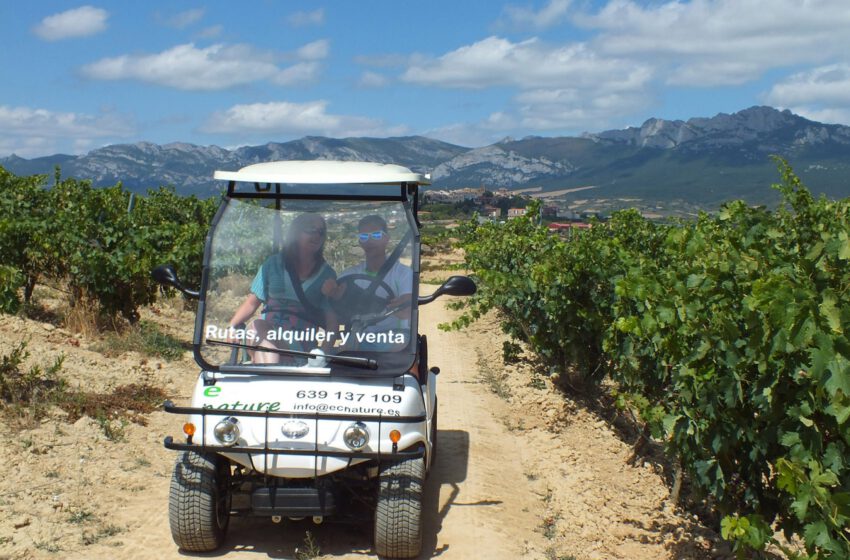  Buggies y bicis eléctricas, la mejor opción para recorrer Rioja Alavesa