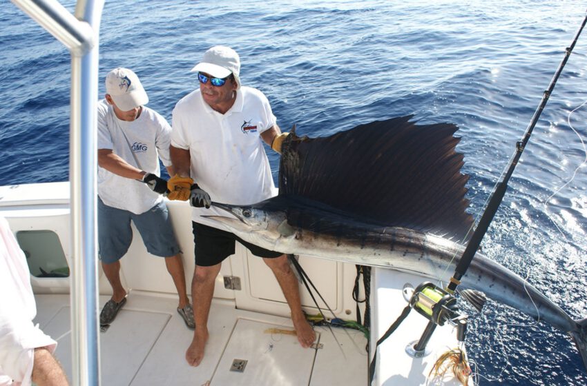  Panamá, uno de los destinos de pesca deportiva a nivel mundial