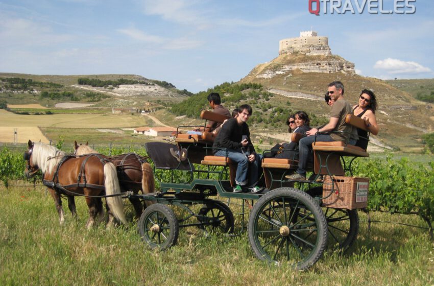  Rutas singulares para redescubrir la Ruta del Vino Ribera del Duero