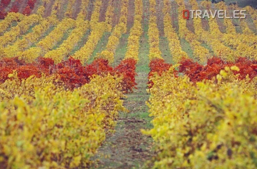  Alentejo, una de las mejores regiones vinícolas del mundo