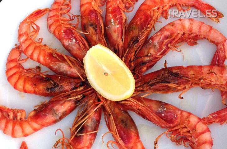 Gambas a la plancha - Foto: David Bigorra