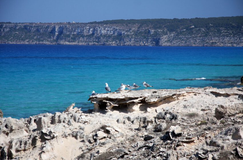  Formentera, destino ideal este otoño