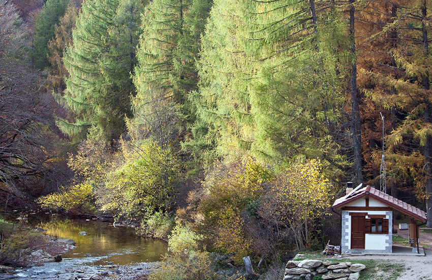  El encanto de los paisajes de Navarra en otoño