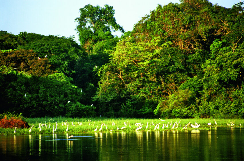  La pesca deportiva reactiva el turismo en el Amazonas