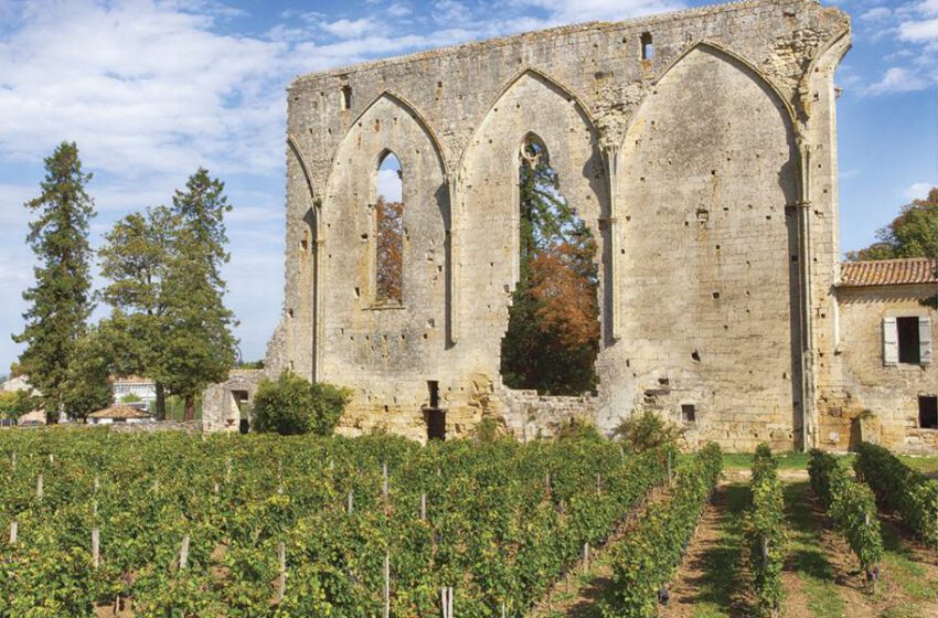  Saint Émilion, corazón de piedra  alma de los vinos