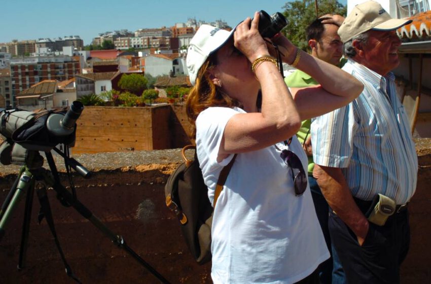  Cáceres acoge el Festival de las Aves 2015 del 15 al 17 de Mayo