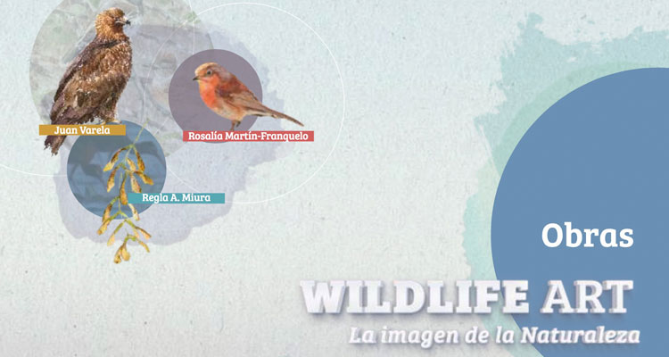  Exposición Wildlife Art en el Festival de las Aves de Cáceres