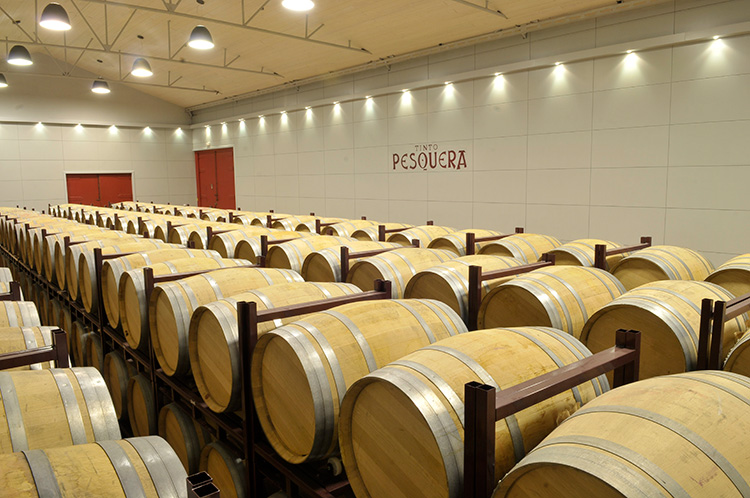  Descubre las bodegas de Ribera del Duero y su arquitectura