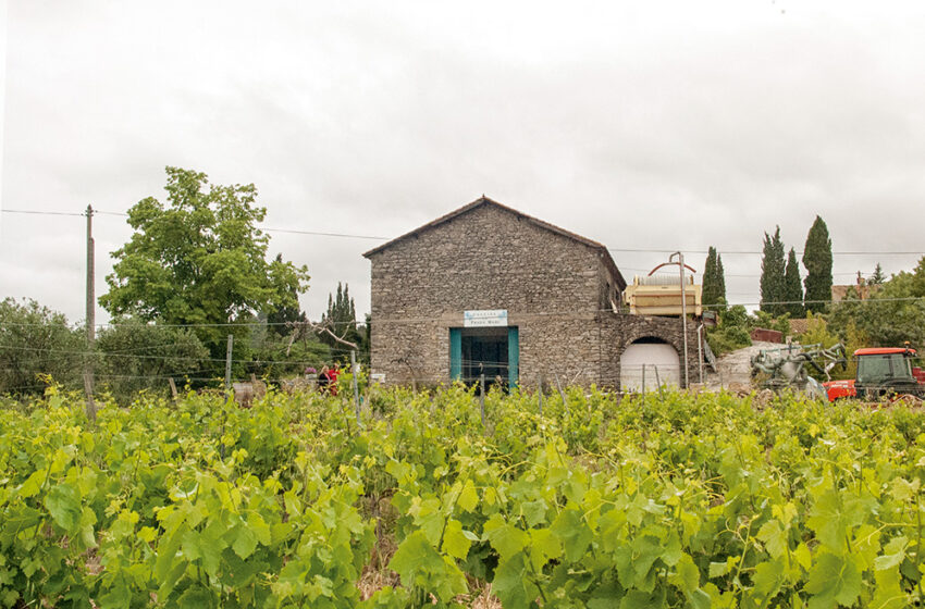  Enoturismo en el Languedoc-Rosellón: La Prade Mari