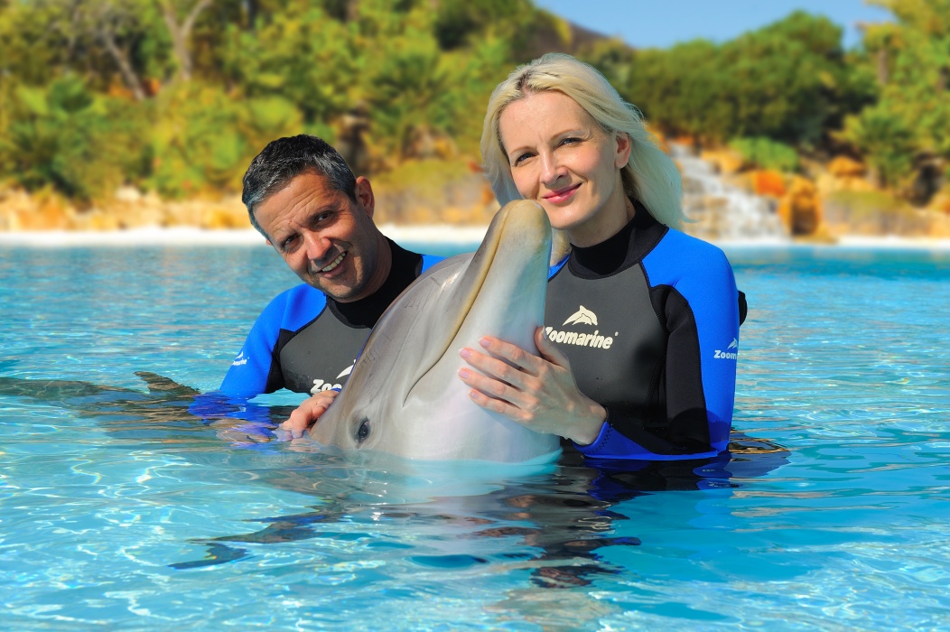 Dolphin Experience en Zoomarine