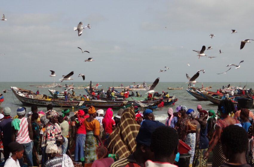  Gambia, el destino perfecto para todos los bolsillos