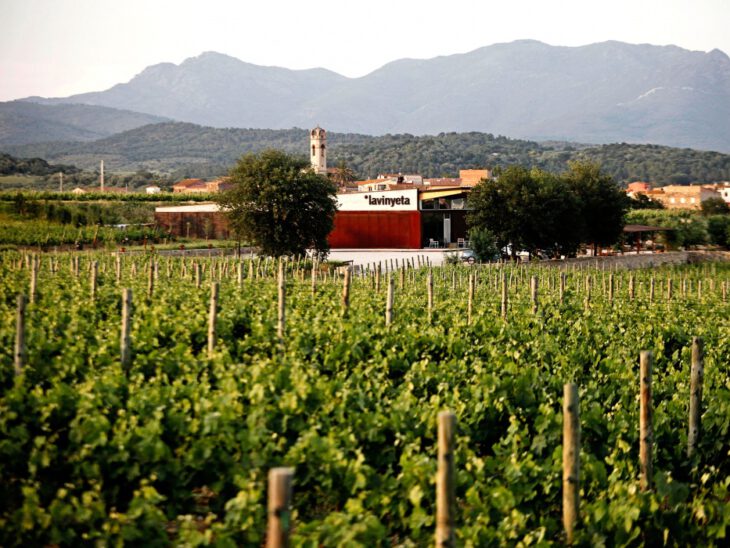 Bodega La Vinyeta