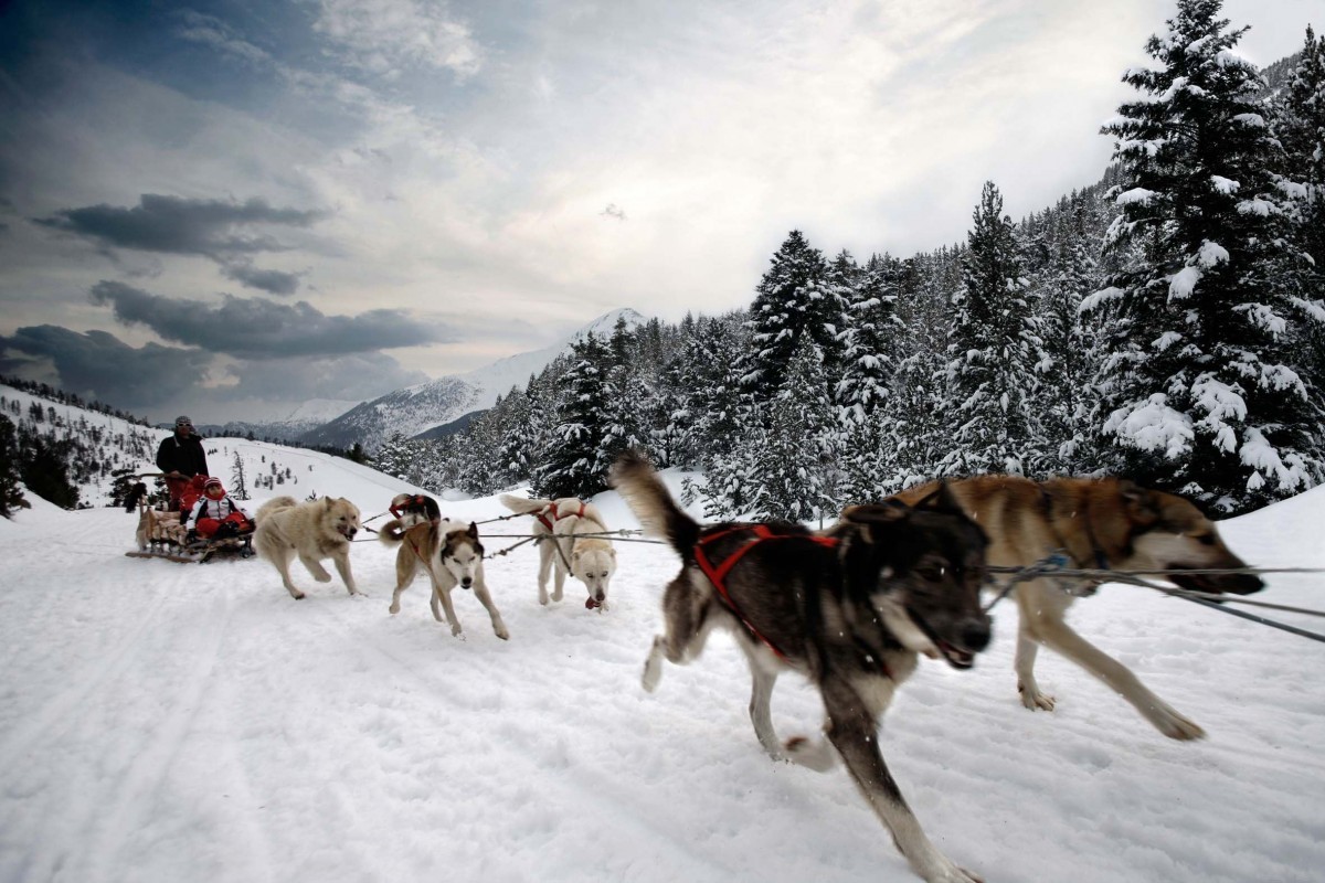 Mushing Vallnord