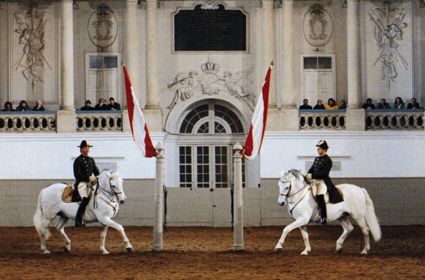  La Escuela Española de Equitación de Viena proclamada Patrimonio Cultural de la Humanidad por la UNESCO