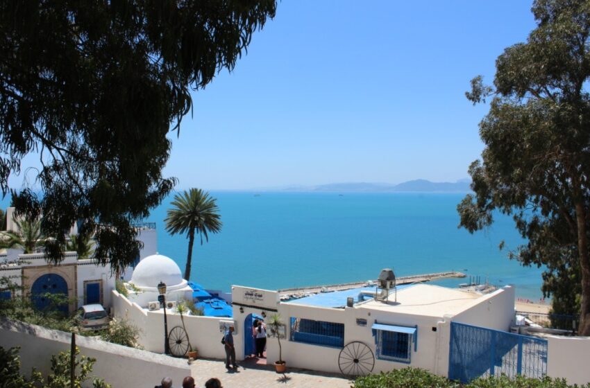  Sidi Boiu Said, siete razones para descubrir uno de los pueblos más bellos de Túnez