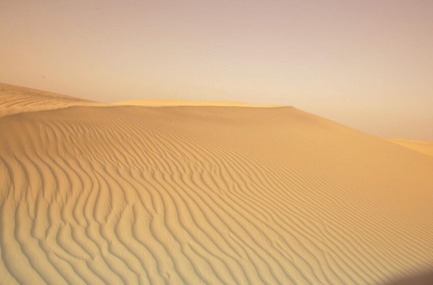  Tozeur, la capital del desierto