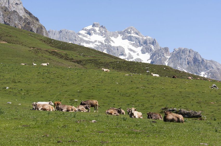  Cuando y como visitar los Picos de Europa