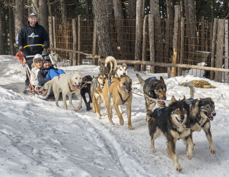 Mushing Andorra