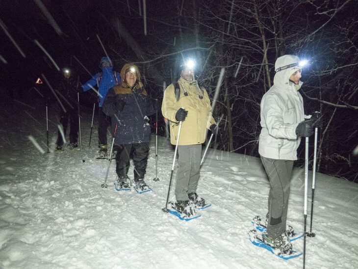 Ruta con raquetas de nieve