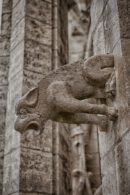 Detalle de las Gárgolas de la Catedral de Mende