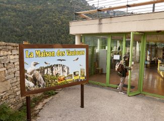 Maison des Vautours