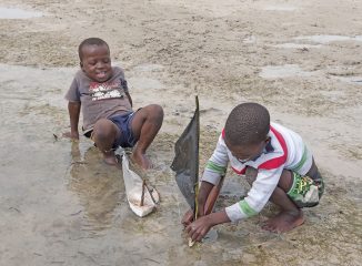 Niños jugando en la orilla del mar
