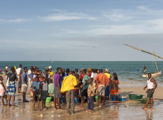 Repartiéndose el pescado