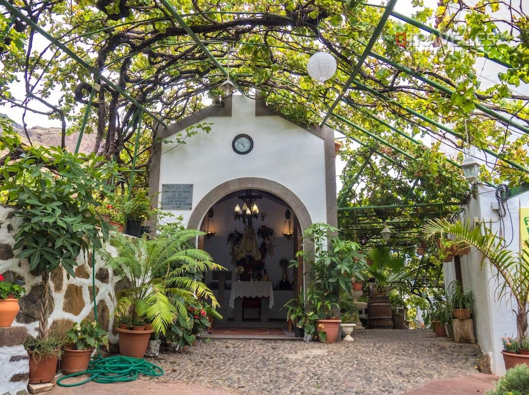 Gran Canaria Bodega Los Berrezales