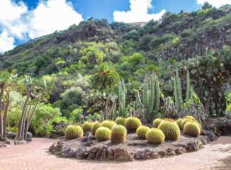 Gran Canaria - Jardín Botánico