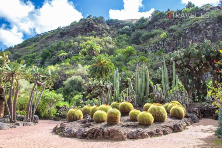 Gran Canaria - Jardín Botánico