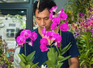 Hong Kong - Flower Market