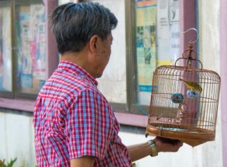 Hong Kong Bird Market