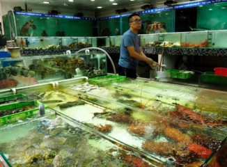 Hong Kong - Mercado de pescado de Lei Yue Mun