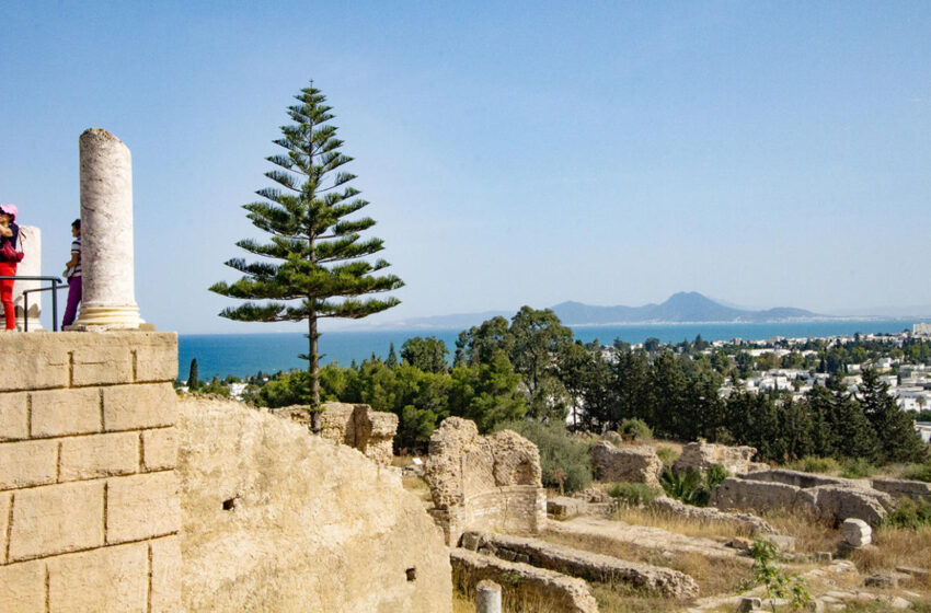  Túnez arqueológico, Colina de Byrsa y Termas de Antonino