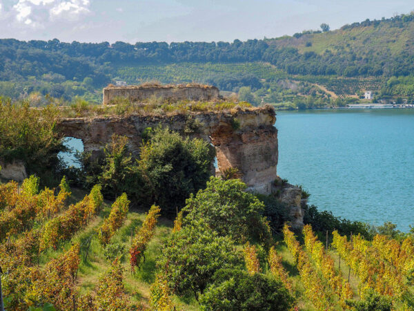 Viñedo histórico de Mirabello Lago del Averno