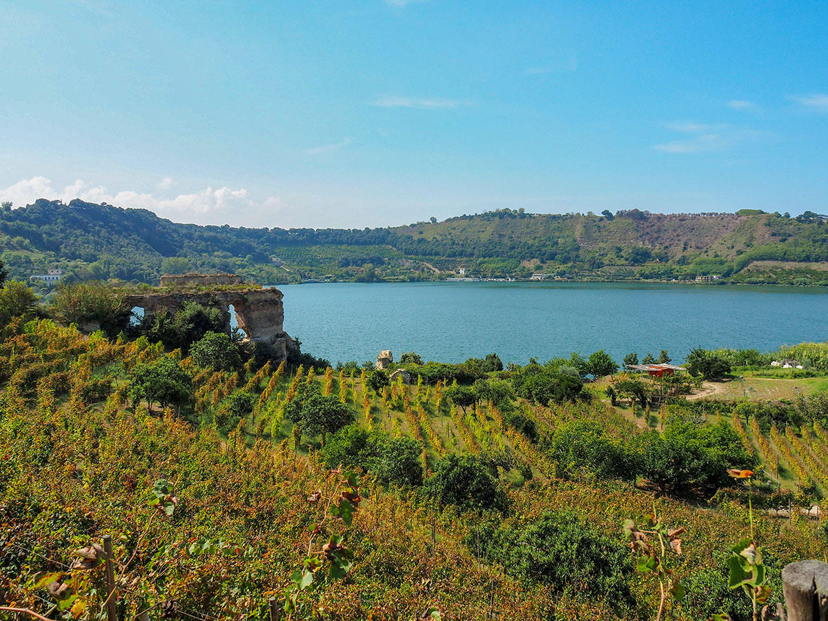 Viñedo histórico de Mirabello Lago del Averno