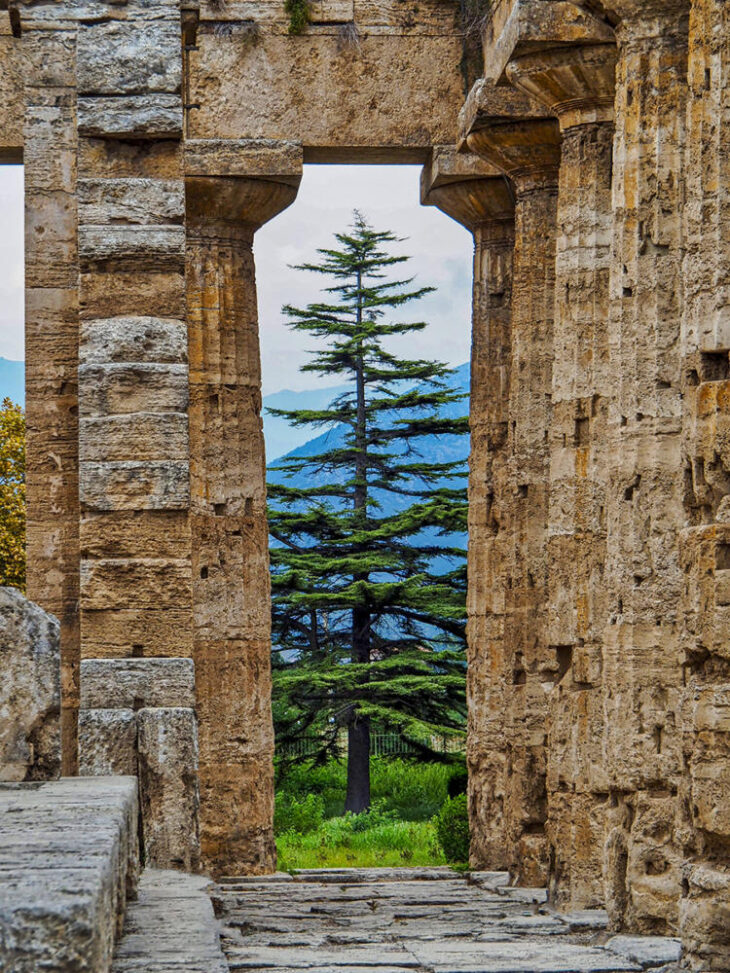 Detalle del Templo de Neptuno