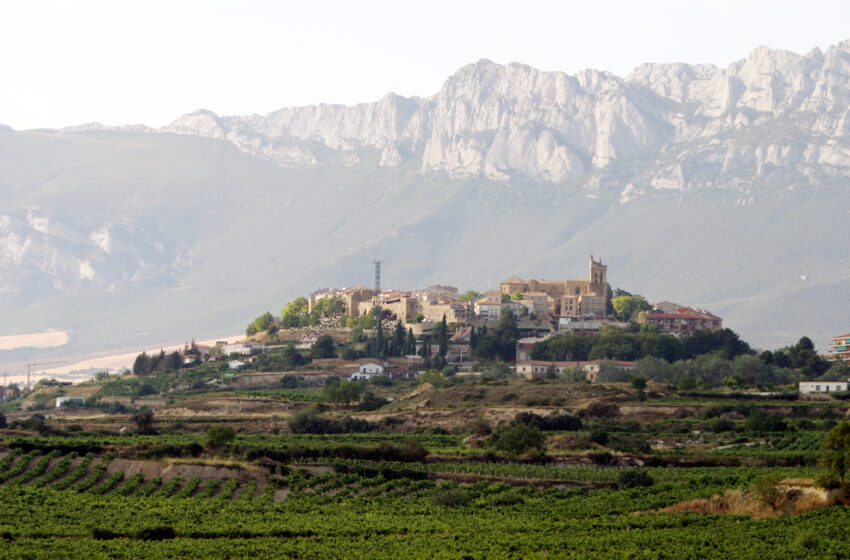  La Ruta del Vino de Rioja Alavesa un enclave único para descubrir