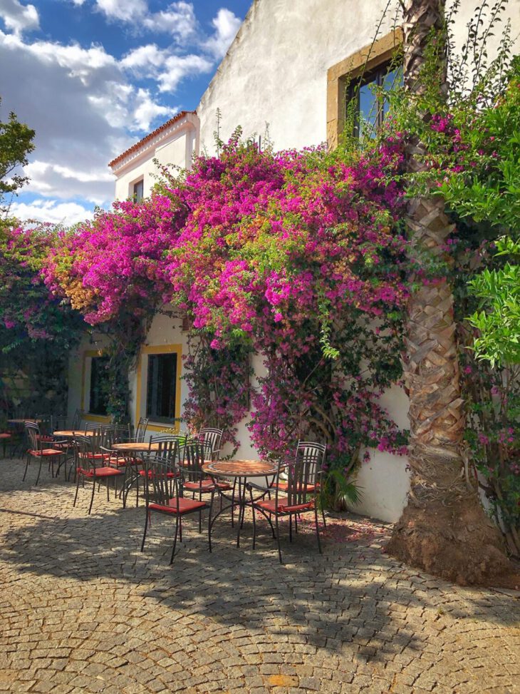 Elvas rincón de flores