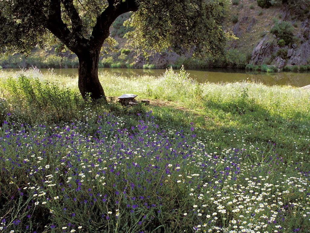 Alentejo