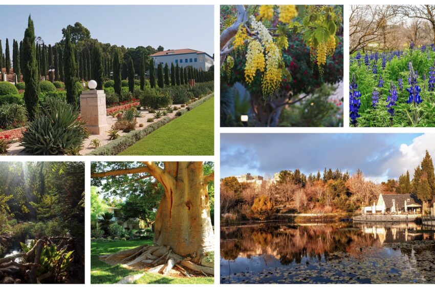  Los 5 jardines más bonitos de Israel