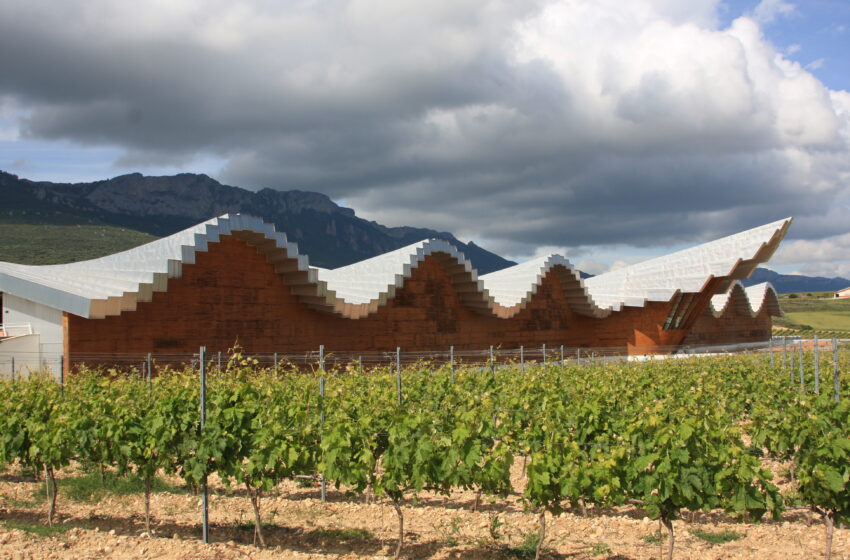  Ruta del Vino de Rioja Alavesa, la gran ruta del vino